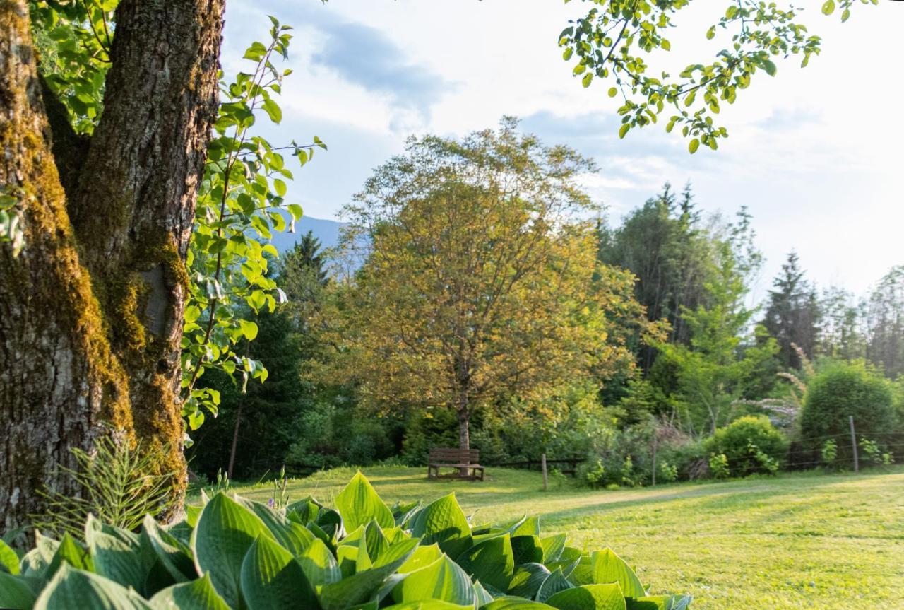 Gartenlodge Auszeit Nötsch Zewnętrze zdjęcie