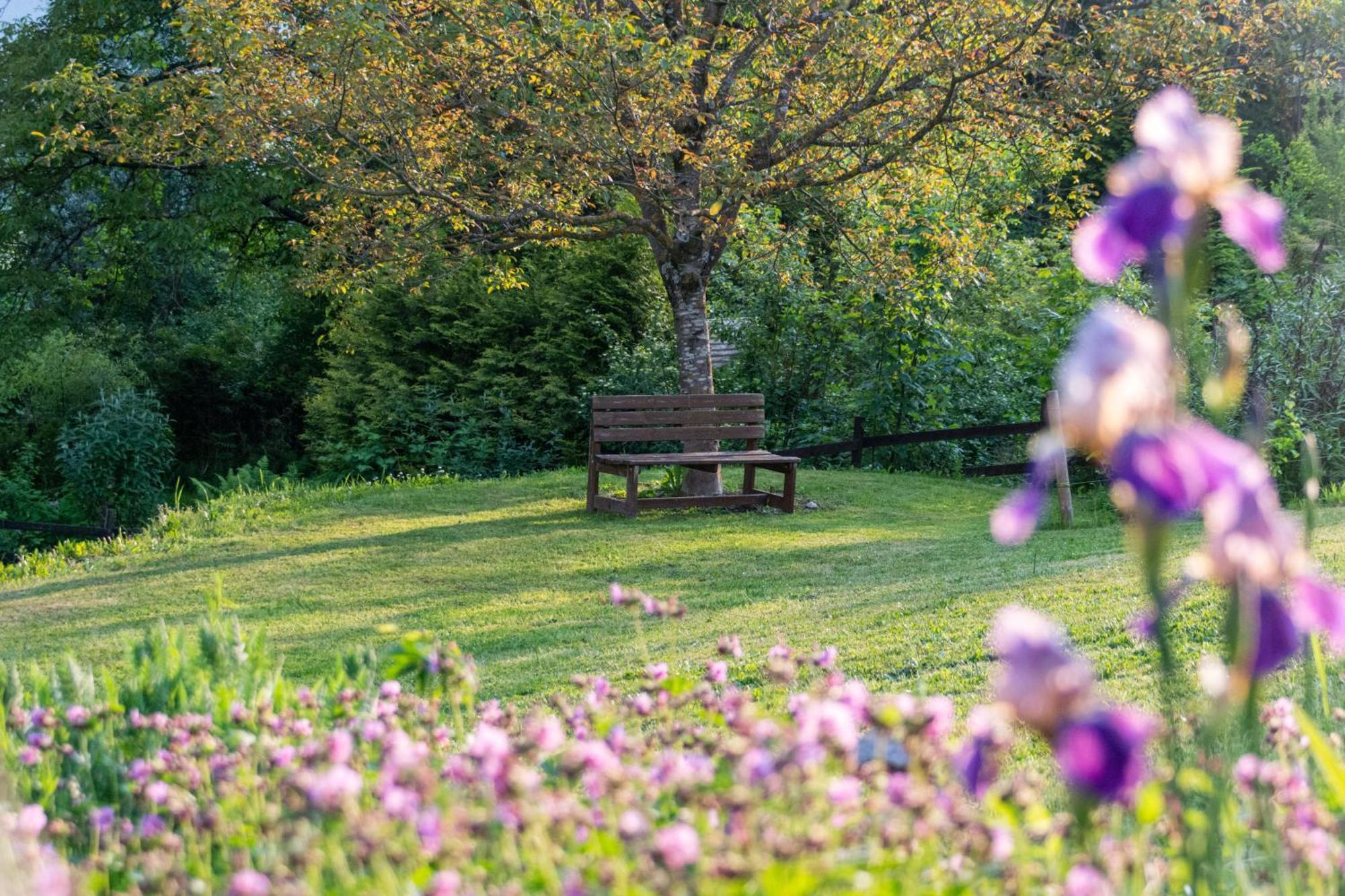 Gartenlodge Auszeit Nötsch Zewnętrze zdjęcie