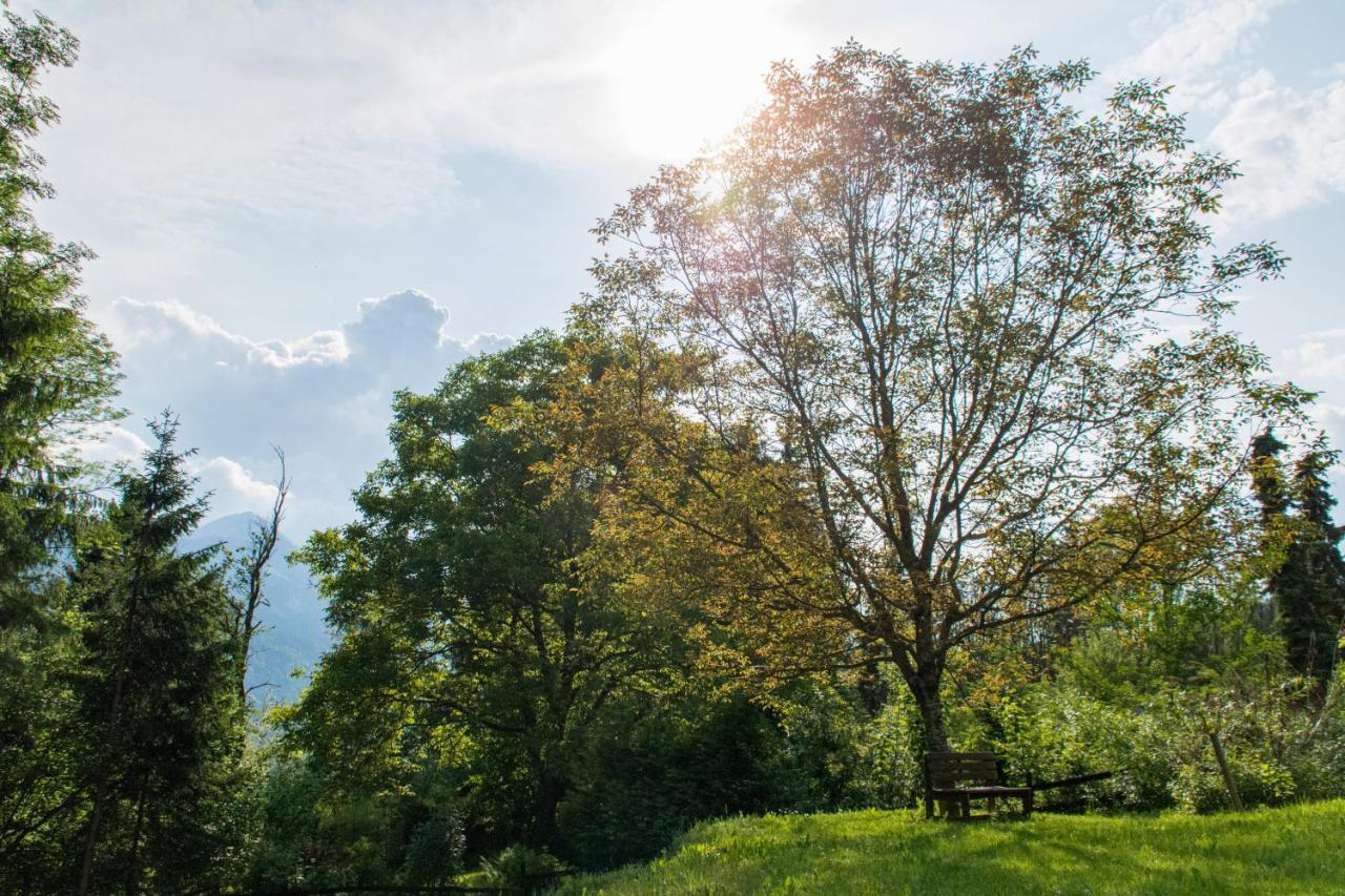 Gartenlodge Auszeit Nötsch Zewnętrze zdjęcie